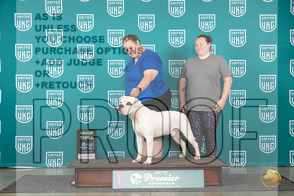 American Bulldog #773 Sat G3 Judge Lori Sargent__JP_2379_Premier_2024_HR3