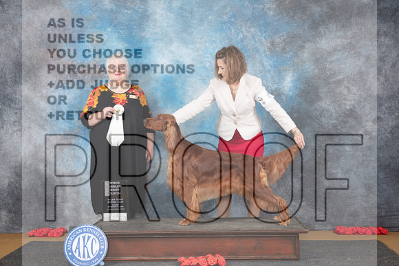 Irish Setter #6 Sunn OHG4 Judge Bev Felten__JP_0780_Sulphur Springs_2024_HR3