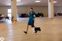 BIS Pup Sat1 Ring