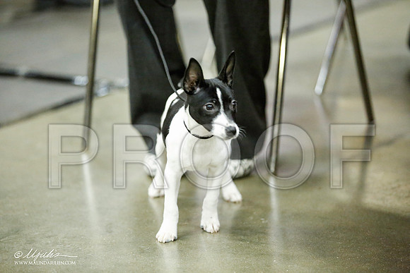 _JJ_5968-BeltonJan2015IABCA-HR3