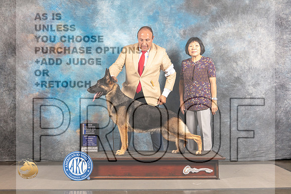 German Shepherd Dog #20 THUR WBBOW Judge Polly Smith_MJ_3512_Houston_2022_HR3