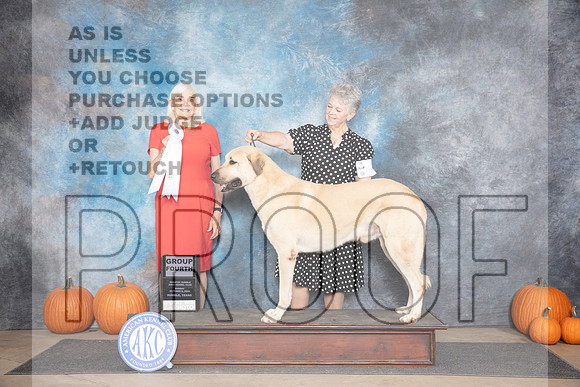 Anatolian Shepherd #7 Sun G4 Judge Jan Paulk__JP_9683_Humble_2024_HR3