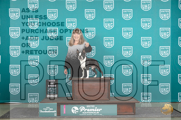 Boston Terrier #707 Thur T10BOB Judge Sharon Griffin__JP_0758_Premier_2024_HR3