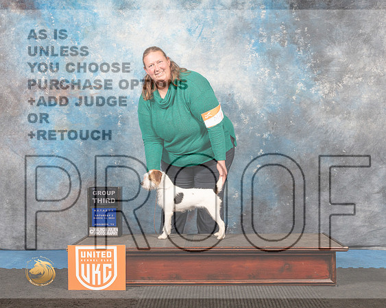 Jack Russell Terrier #218 Sat2 G3 Judge Pam Moore_MMJ_6386_Addison2022_HR3