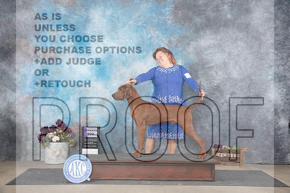 Redbone Coonhound #7 Sat WD Judge Eric Liebes__JP_7027_Belton_2024_HR3