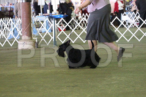 MJS_6054
