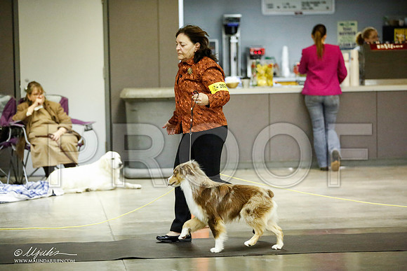 _JJ_6287-BeltonJan2015IABCA-HR3