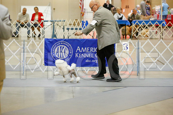 _JJ_1491-AmarilloSept2014-HR3