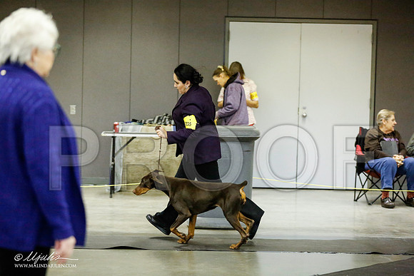 _RH_1886-BeltonJan2015IABCA-HR3