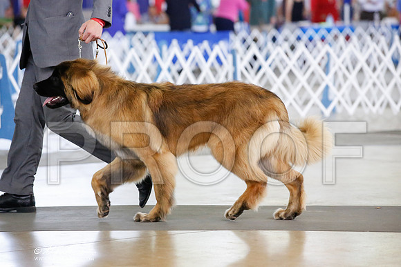 _JN_3389-DallasJul2014-HR3