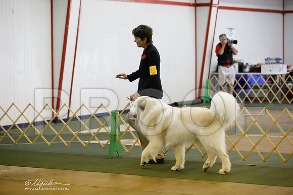 _RH_5800-DntnJun2014-HR3