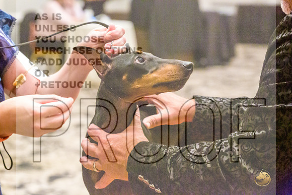 Manchester Terrier MTOY Candids-JJL_2047-Hstn2022_HR3