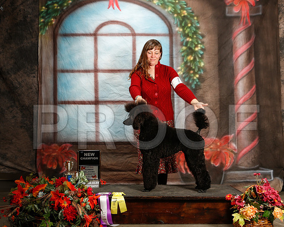 _ST_7091-2-NrmnNov2014-HR3