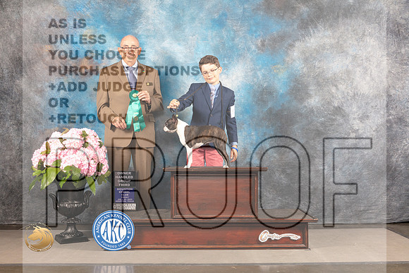 Boston Terrier #42 FRI G3 Judge Joe Walton_MJ_5924_Houston_2022_HR3