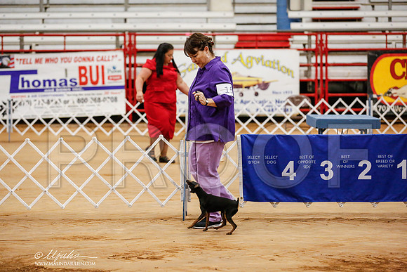 _RH_3198-TxArJun2014-HR3