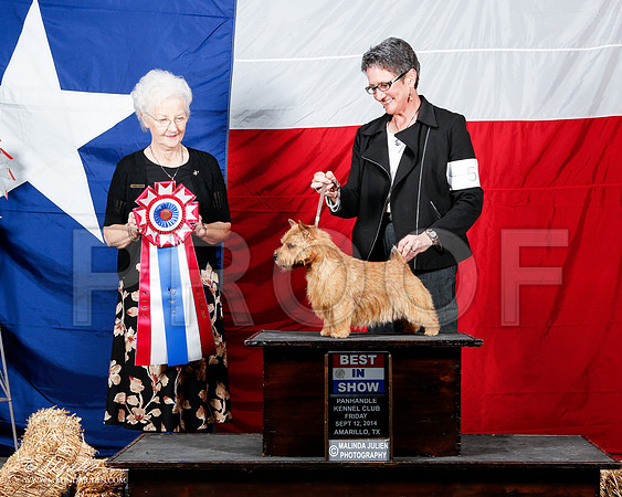 _ST_1647-2-AmarilloSep2014-HR3