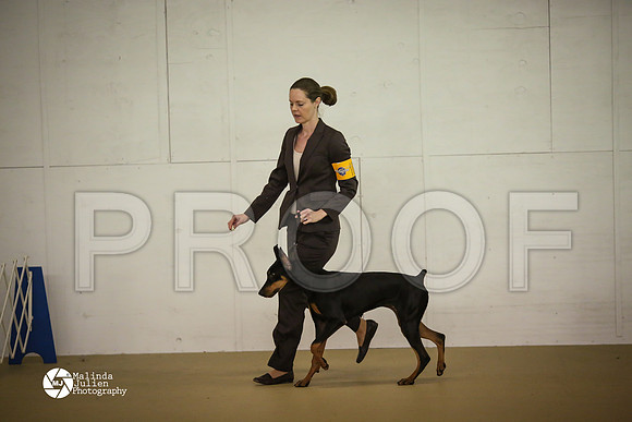 Dobe-7450-HtoJan14-HR