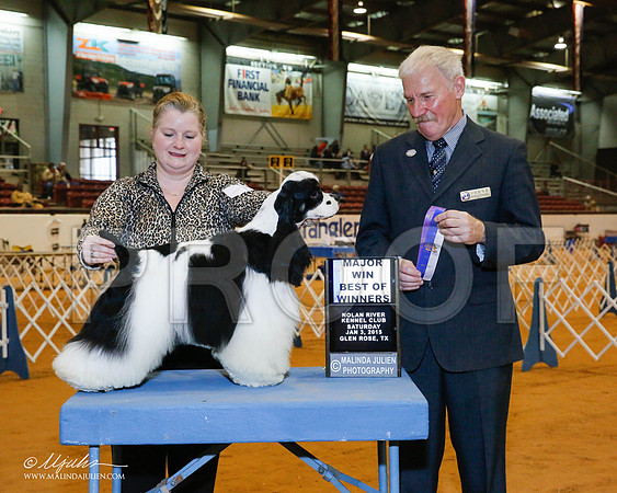 _RH_8806-2-GlenRoseJan2015-HR3