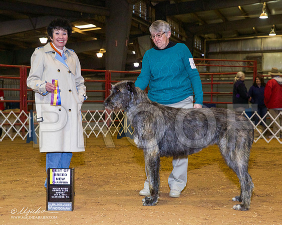 _RH_8917-GlenRoseJan2015-HR3