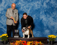 Bulldogs #11 Sun BOB Garza Dino Judge Mr Gary L Andersen