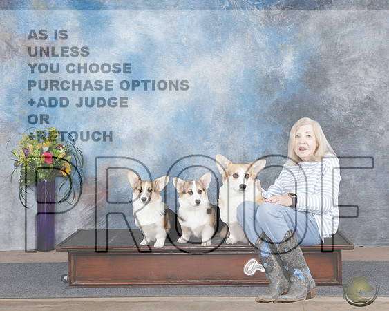 Pembroke Welsh Corgi Family ShotPembroke Welsh Corgi Family Shot_WP_4723e-Abilene 2025-HR3