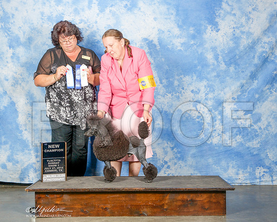 _ST_9943-CnroeJul2014-HR3