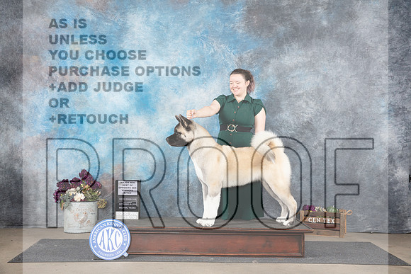 Akita #10 Sat WBM Judge Joan Liebes__JP_7022_Belton_2024_HR3