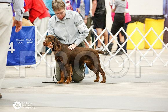 _JN_0780-AblnMay2014-web