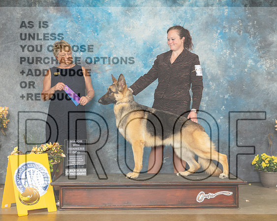 German Shepherd Dog #9 Fri WD Judge Cathy Daugherty-MMJ_9560-NWARK2022-HR3