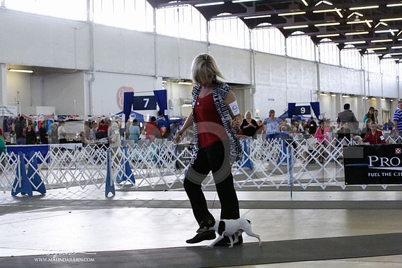 _HR_5368-DallasJul2014-HR3