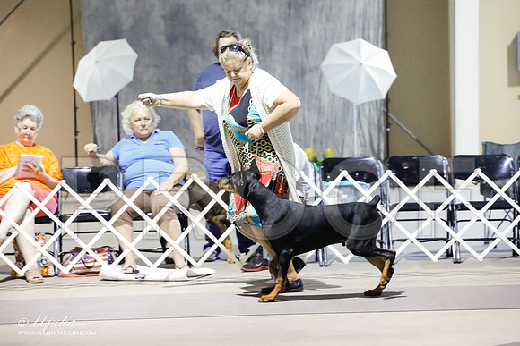 _HR_8169-SAJul14-HR3