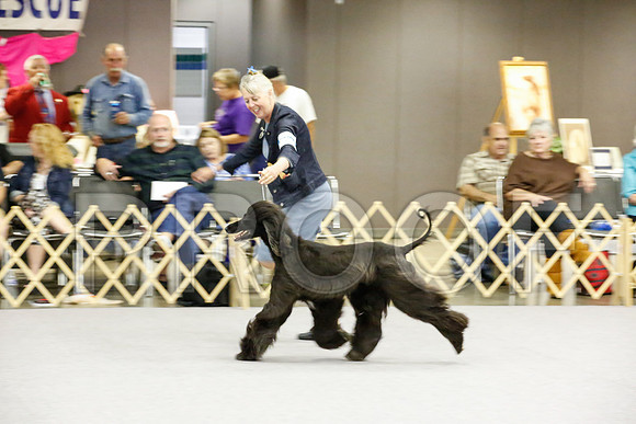 _JJ_8356-AfgBeltonOct2014-HR3