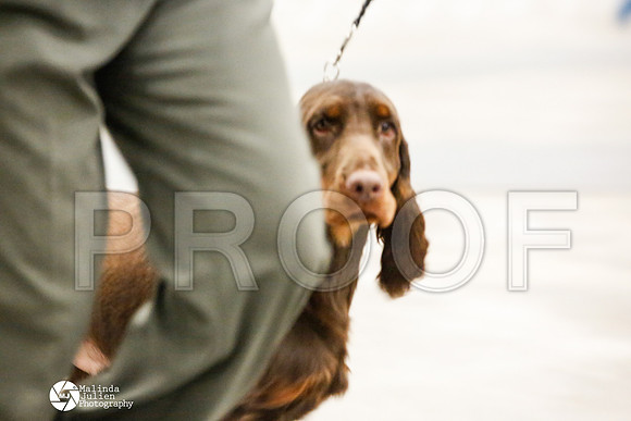 _JN_0787-AblnMay2014-web