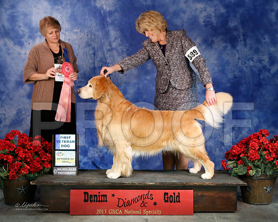 SweepsVet-7652-WFOct2013-HR