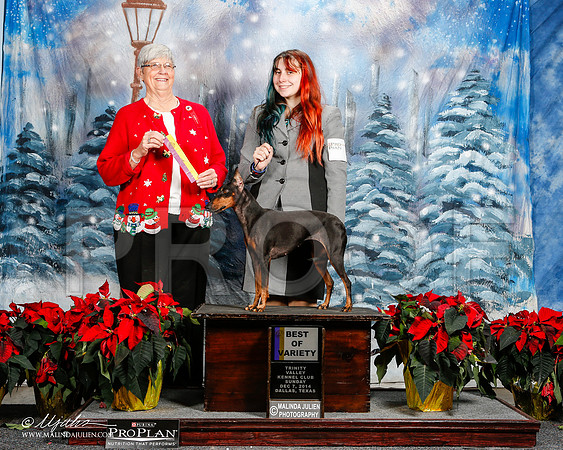 _ST_9343-2-DallasDec2014-HR3