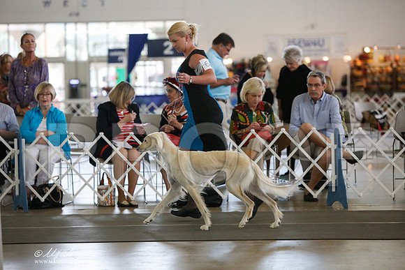 _JJ_2755-DallasJul2014-HR3