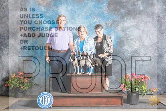 Boston Terrier #10 Fri BOS Judge Polly Smith__JP_3934_San Antonio_2024_HR3