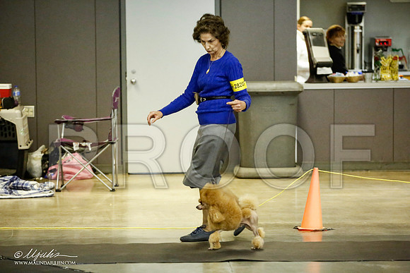 _JJ_5526-BeltonJan2015IABCA-HR3