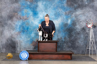 Boston Terrier Fun