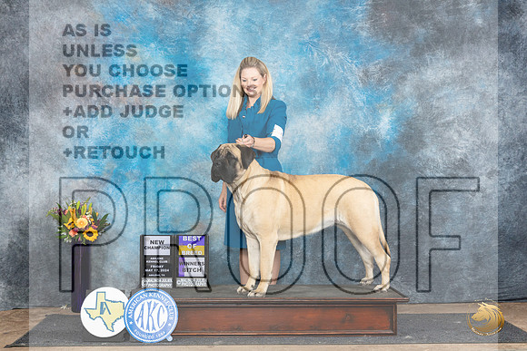 Mastiff #10 Fri WBBOBCH Judge Rick Gschwender__JP_0004_Abilene_2024_HR3