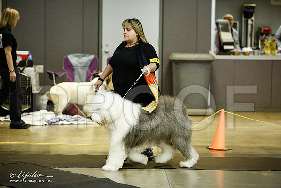 _JJ_6186-BeltonJan2015IABCA-HR3
