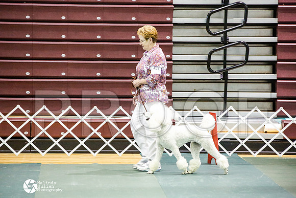 _JJ_5213-BsrCtyJun2014-HR3