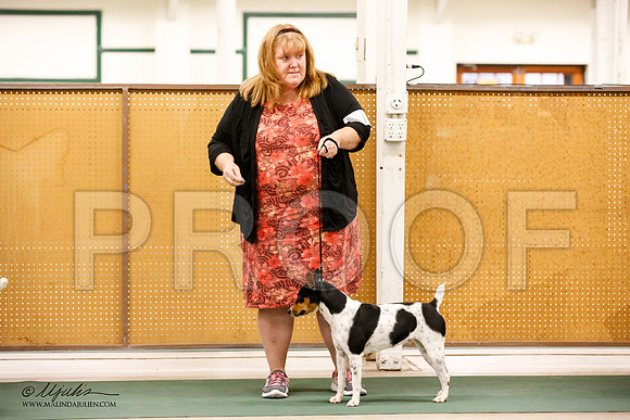 _JN_0323-NrmnNov2014-HR3