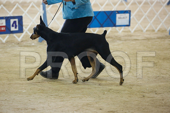 dobe-7493-HstnNov13-HR