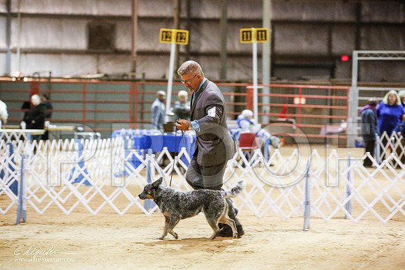 _JN_4625-2-GlenRoseJan2015-HR3