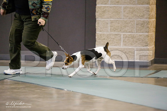 _LH_3576-BeltonJan2015-HR3