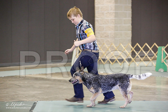 _JN_2285-BeltonJan2015-HR3