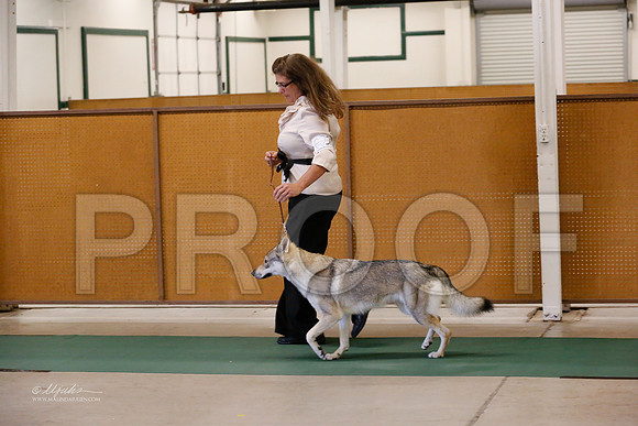 ChWd-9518-NormNov13-HR