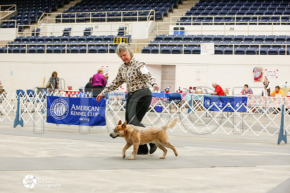 _JJ_9586-AblnMay2014-web