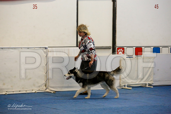 _M3_0178-AddisonHuskyMar2015-HR3